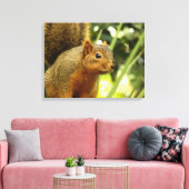 Portret van een eekhoorn Natuur Dierfotografie Canvas Afdruk (Insitu (Woonkamer))