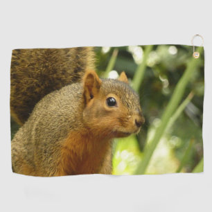 Portret van een eekhoorn Natuur Dierfotografie Golfhanddoek