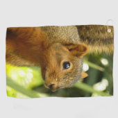 Portret van een eekhoorn Natuur Dierfotografie Golfhanddoek (Horizontaal)
