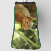 Portret van een eekhoorn Natuur Dierfotografie Golfheadcover (Draai 90)