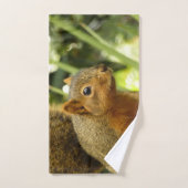 Portret van een eekhoorn Natuur Dierfotografie Handdoek (Handdoek)