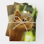 Portret van een eekhoorn Natuur Dierfotografie Inpakpapier Vel (In situ)