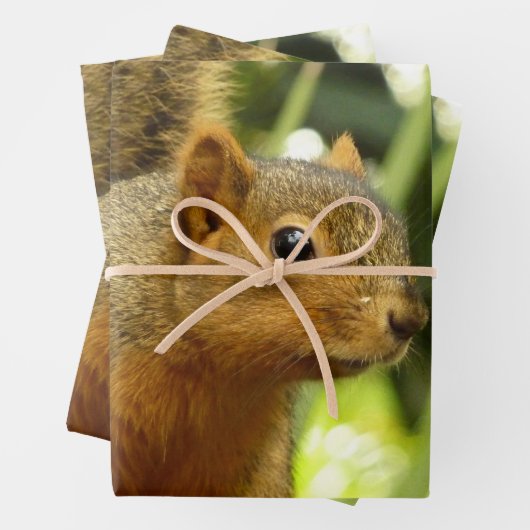Portret van een eekhoorn Natuur Dierfotografie Inpakpapier Vel (In situ)