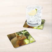 Portret van een eekhoorn Natuur Dierfotografie Kartonnen Onderzetters (Insitu)