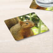 Portret van een eekhoorn Natuur Dierfotografie Kartonnen Onderzetters (Schuin)