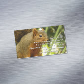 Portret van een eekhoorn Natuur Dierfotografie Magnetisch Visitekaartje (Voorbeeld)