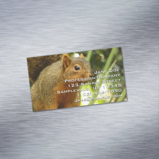 Portret van een eekhoorn Natuur Dierfotografie Magnetisch Visitekaartje (Voorbeeld)