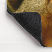 Portret van een eekhoorn Natuur Dierfotografie Muismat (Hoek)