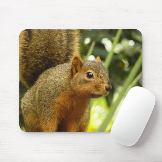 Portret van een eekhoorn Natuur Dierfotografie Muismat (Met muis)