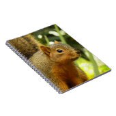 Portret van een eekhoorn Natuur Dierfotografie Notitieboek (Rechterzijde)