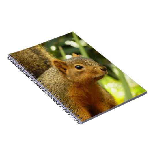 Portret van een eekhoorn Natuur Dierfotografie Notitieboek (Rechterzijde)