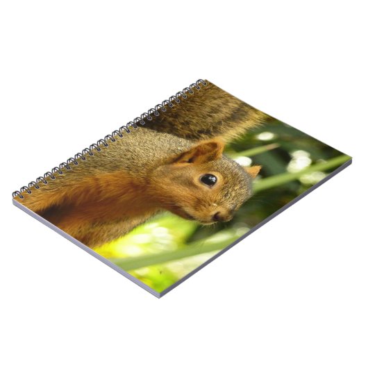 Portret van een eekhoorn Natuur Dierfotografie Notitieboek (Linkerzijde)