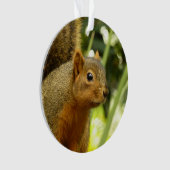 Portret van een eekhoorn Natuur Dierfotografie Ornament (voorkant)