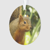 Portret van een eekhoorn Natuur Dierfotografie Ornament (voorkant)