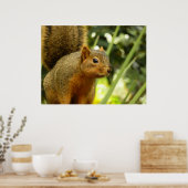 Portret van een eekhoorn Natuur Dierfotografie Poster (Keuken)