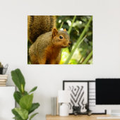 Portret van een eekhoorn Natuur Dierfotografie Poster (Thuiskantoor)
