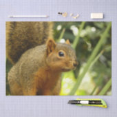 Portret van een eekhoorn Natuur Dierfotografie Tissuepapier (Craft)