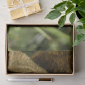 Portret van een eekhoorn Natuur Dierfotografie Tissuepapier (Geschenk)