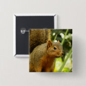 Portret van een eekhoorn Natuur Dierfotografie Vierkante Button 5,1 Cm (Voorkant /achterkant)
