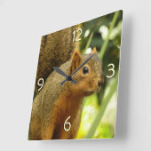 Portret van een eekhoorn Natuur Dierfotografie Vierkante Klok (Hoek)