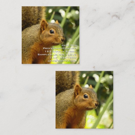 Portret van een eekhoorn Natuur Dierfotografie Vierkante Visitekaartje (Voorkant / Achterkant)