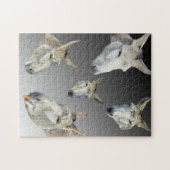 portret van een ezel, legpuzzel (Horizontaal)