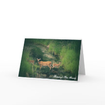 Portret van een Familie van Herten