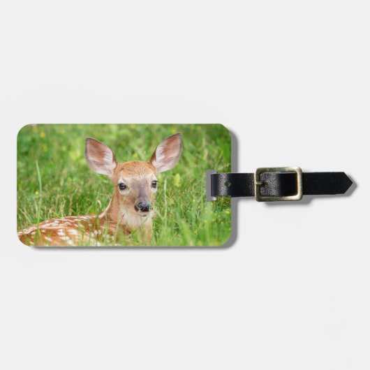 Portret van een Fawn (witte staarten) Bagagelabel (Voorkant horizontaal)