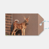 Portret van een Fawn (witte staarten) Cadeaulabel (Voorkant (Horizontaal))