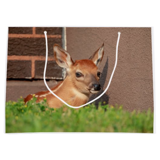 Portret van een Fawn (witte staarten) Groot Cadeauzakje (Voorkant)