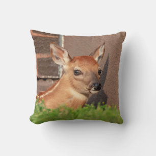 Portret van een Fawn (witte staarten) Kussen