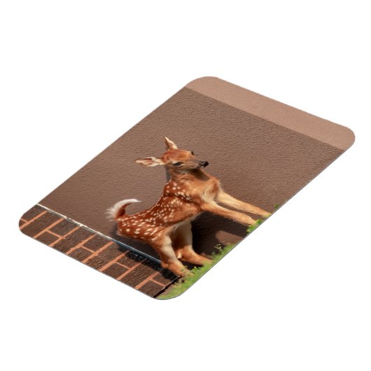 Portret van een Fawn (witte staarten) Magneet (Linkerzijde)