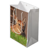 Portret van een Fawn (witte staarten) Medium Cadeauzakje (Voorkant Gekanteld)