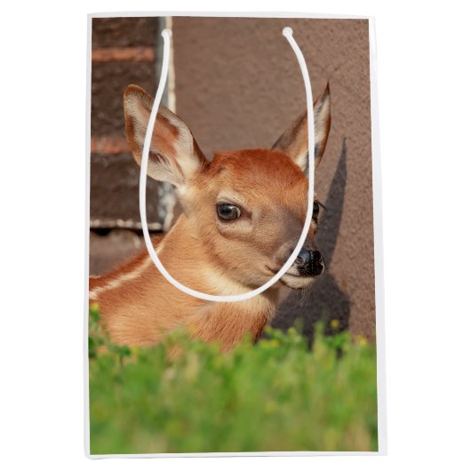 Portret van een Fawn (witte staarten) Medium Cadeauzakje (Voorkant)