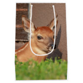 Portret van een Fawn (witte staarten) Medium Cadeauzakje (Achterkant)