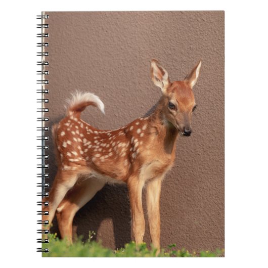 Portret van een Fawn (witte staarten) Notitieboek (Voorkant)