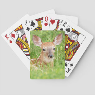 Portret van een Fawn (witte staarten) Pokerkaarten