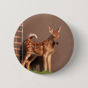 Portret van een Fawn (witte staarten) Ronde Button 5,7 Cm