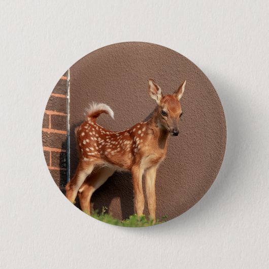 Portret van een Fawn (witte staarten) Ronde Button 5,7 Cm (Voorkant)