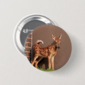 Portret van een Fawn (witte staarten) Ronde Button 5,7 Cm (Voorkant /achterkant)