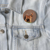 Portret van een Fawn (witte staarten) Ronde Button 5,7 Cm (In situ)