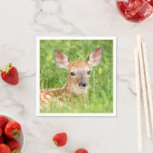 Portret van een Fawn (witte staarten) Servet (Insitu)