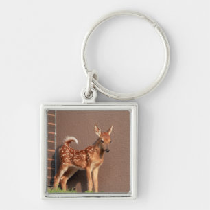 Portret van een Fawn (witte staarten) Sleutelhanger