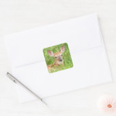 Portret van een Fawn (witte staarten) Vierkante Sticker (Envelop)