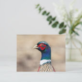 Portret van een fazant briefkaart (Staand voorkant)