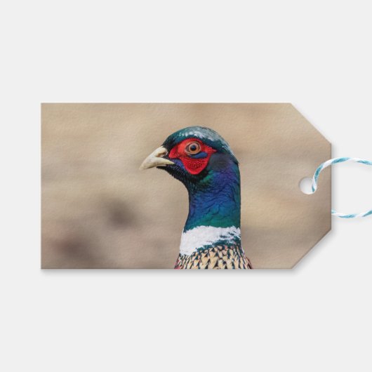 Portret van een fazant cadeaulabel (Voorkant (Horizontaal))
