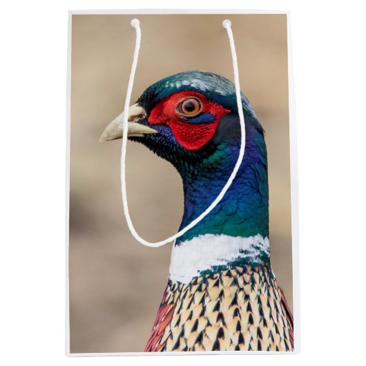 Portret van een fazant medium cadeauzakje (Voorkant)