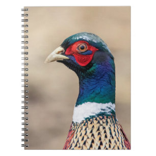 Portret van een fazant notitieboek