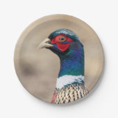 Portret van een fazant papieren bordje (Voorkant)