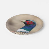 Portret van een fazant papieren bordje (Gekanteld)